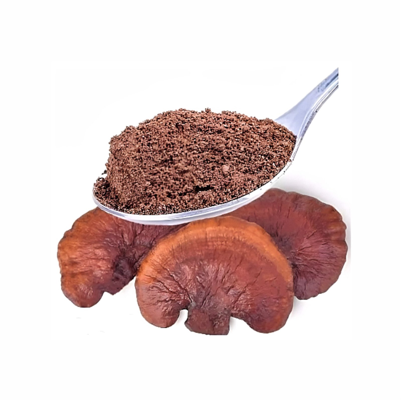 Hongo Reishi Pulverizado (Ganoderma Lucidum)